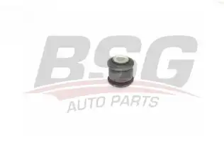 BSG 70700043 Salıncak Burcu