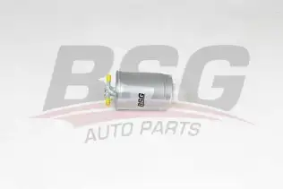 BSG 90130039 Yakıt Filtresi