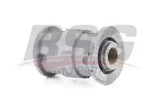 BSG 40700101 Salıncak Burcu Ön