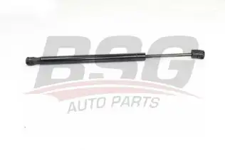 BSG 15980024 Motor Kaput Amortisörü