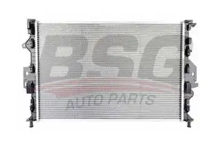 BSG 30520032 Su Radyatörü