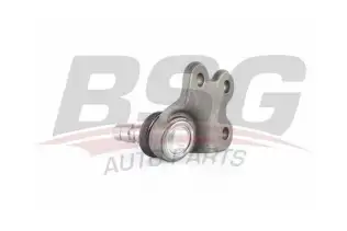 BSG 70310050 Rotil Alt
