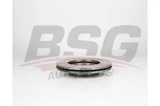 BSG 25210001 Fren Diski Ön