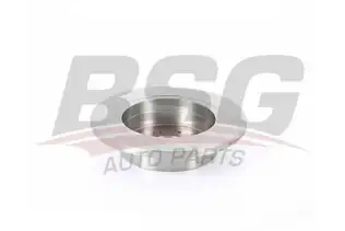 BSG 35210010 Fren Diski Arka