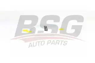 BSG 90130017 Yakıt Filtresi