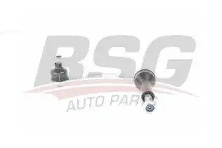 BSG 70310056 Viraj Askı Rotu Ön Sol