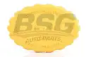 BSG 65551001 Radyatör Yedek Su Depo Kapağı