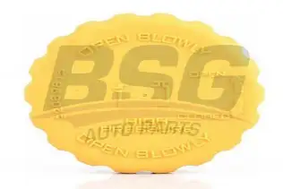 BSG 65551001 Radyatör Yedek Su Depo Kapağı