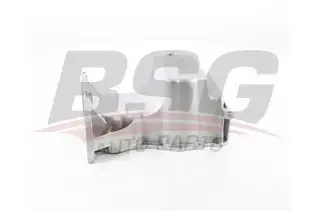 BSG 75160005 Yağ Karteri
