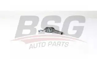 BSG 70310064 Rot Başı Ön