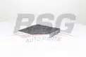 BSG 90145019 Polen Filtresi