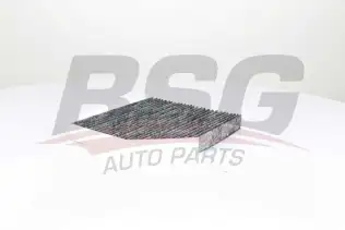 BSG 90145019 Polen Filtresi