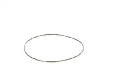 BOSCH 2440210044 O-Ring - 4. Görsel