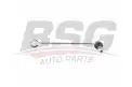BSG 60310211 Viraj Askı Rotu Ön Sol