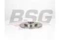BSG 40210046 Fren Diski Arka