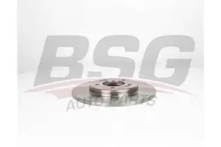 BSG 40210046 Fren Diski Arka
