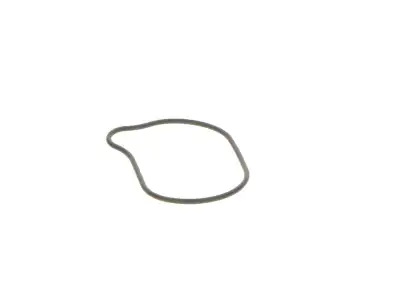 BOSCH 2440210028 O-Ring - 22. Görsel
