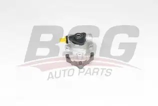 BSG 15355019 Direksiyon Pompası
