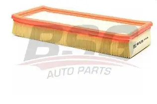 BSG 30135019 Hava Filtresi