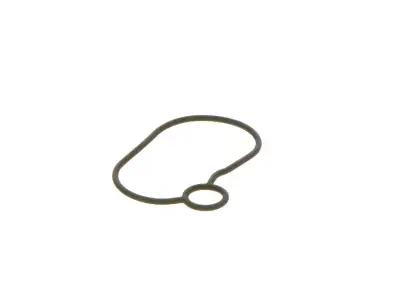 BOSCH 2440210054 O-Ring - 13. Görsel