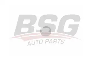 BSG 65922063 Çeki Demir Kapağı Ön