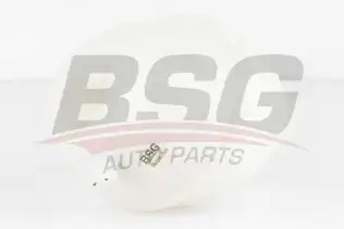 BSG 90550002 Radyatör Yedek Su Deposu