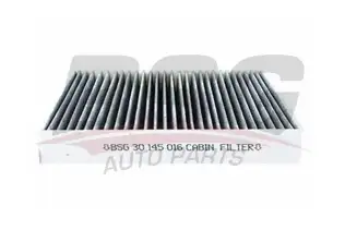 BSG 30145016 Polen Filtresi