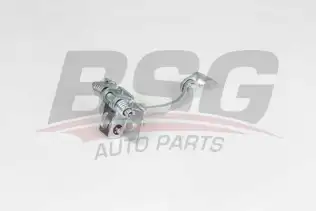 BSG 70975017 Kapı Gergisi Arka