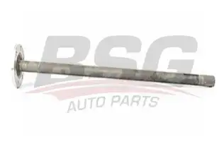 BSG 30470008 Aks Komple Arka