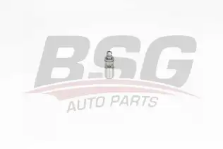 BSG 65122017 Supap Itıcısı