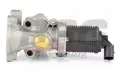 BSG 65836007 Egr Valfi