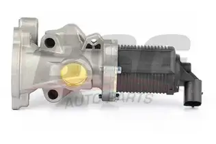 BSG 65836007 Egr Valfi