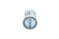BOSCH 0450905969 Benzin Filtresi