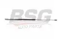 BSG 60980021 Bagaj Amortisörü