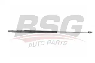 BSG 60980021 Bagaj Amortisörü