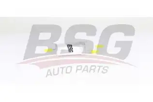 BSG 90130018 Yakıt Filtresi