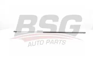 BSG 30980030 Bagaj Amortisörü