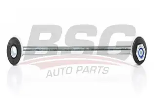 BSG 60310168 Viraj Askı Rotu Arka