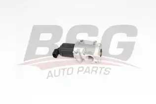 BSG 65836011 Egr Valfi