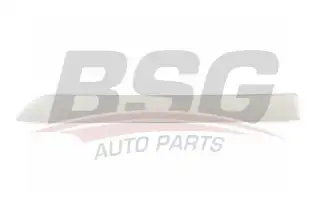 BSG 65925043 Kapı Bandı Arka Sol