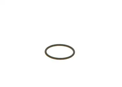 BOSCH F00VC38002 O-Ring - 9. Görsel