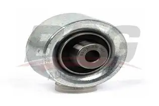 BSG 30630001 V Kayış Gergi Rulmanı