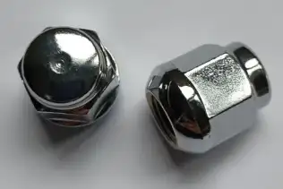 Bijon Somunu  MGA 77266
