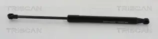 BSG 16980006 Bagaj Amortısörü