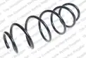 BSG 25305006 Helezon Yayı Ön