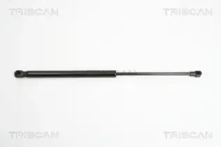 BSG 25980025 Bagaj Amortısörü
