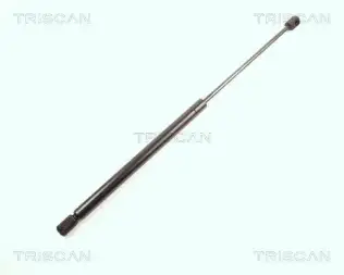 BSG 25980029 Bagaj Amortısörü
