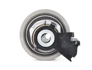 BSG 40615003 Eksantrık Gergı Rulmanı