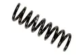 BSG 60305011 Helezon Yayı Arka