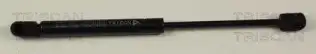 BSG 63980001 Bagaj Amortısörü